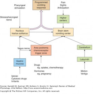 Approach to Vomiting | Learn Pediatrics