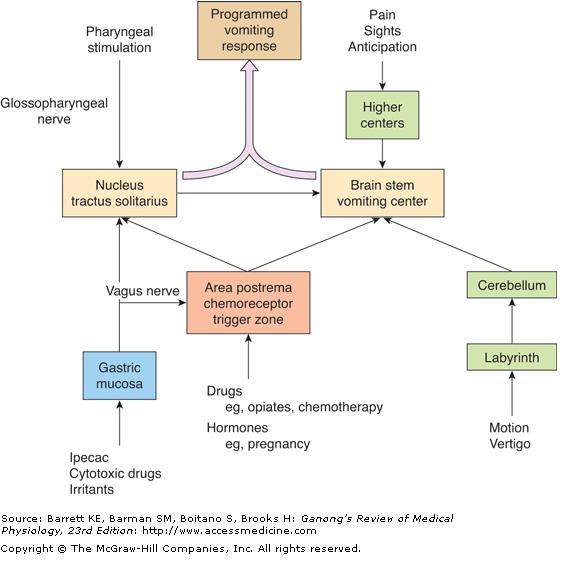 Approach To Vomiting Learn Pediatrics