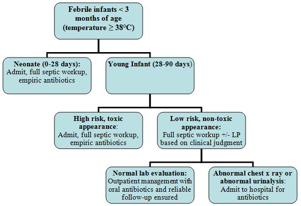 Fever In The Newborn Period Learn Pediatrics